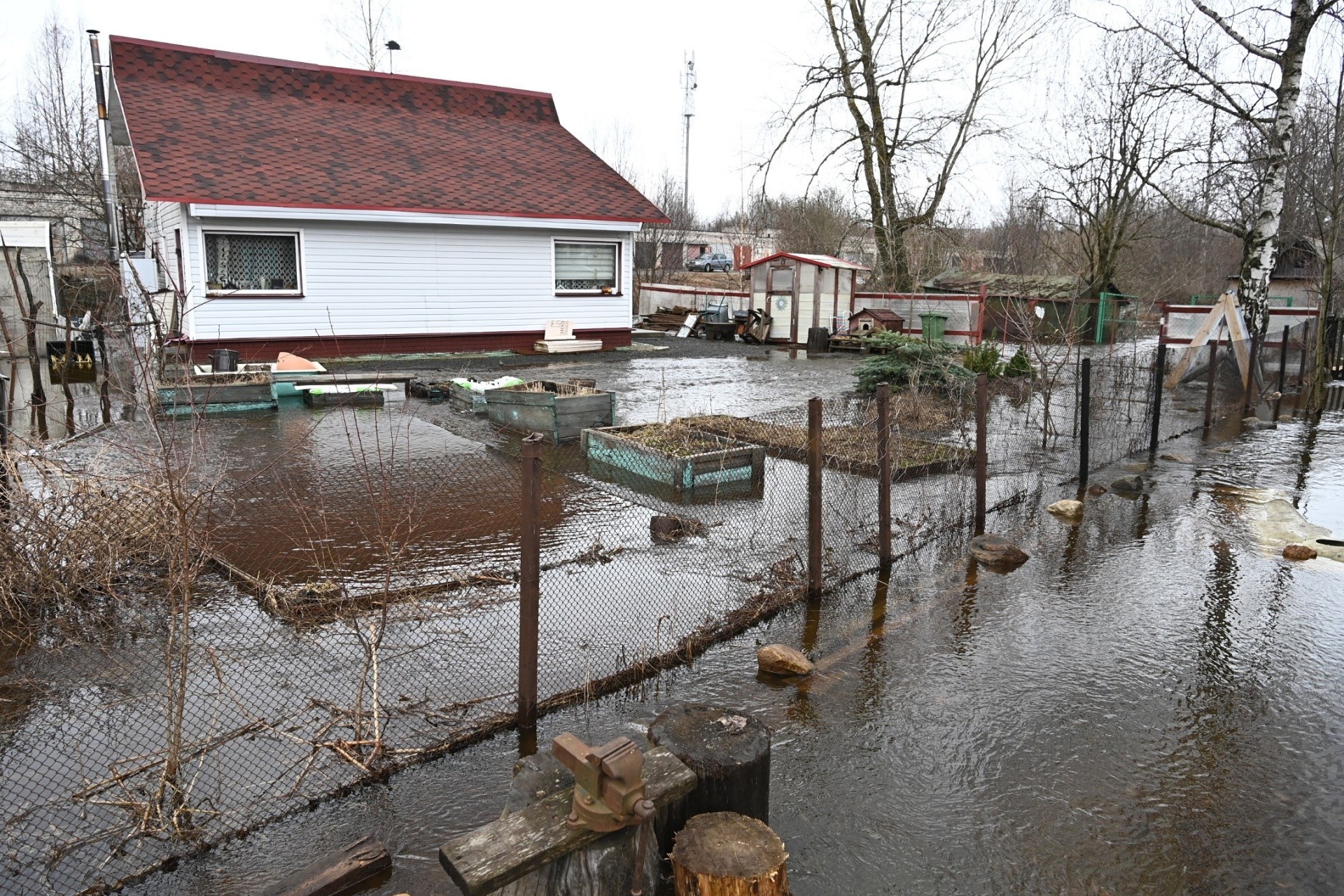 Tulvat aiheuttivat ongelmia Petroskoissakin. Nieglajoki tulvi melkoisesti Mujezerskajakadulla Perevalssin lähiössä. Vesi nousi useille omakotitalotonteille. Kuva: Respublika-uutistoimisto