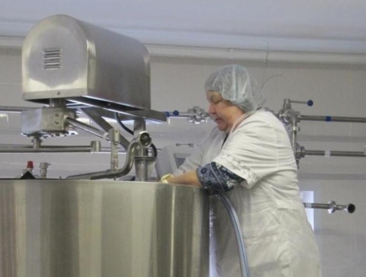 Perheyritys aloitti maaliskuun lopulla juuston valmistuksen uudella paikalla uusilla kotimaisilla laitteilla. Kuva: Oleg Gerasjuk