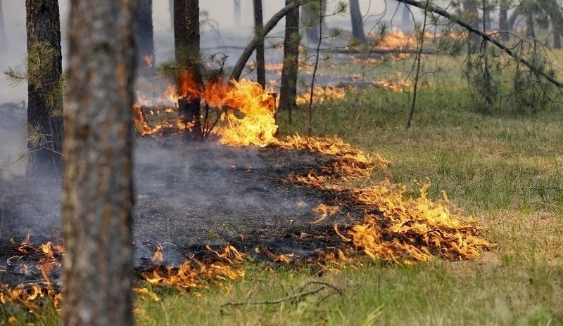 Karjalan metsänsuojelukeskus suorittaa metsäpalojen valvontaa ja sammutusta kaikissa tasavallan piireissä. Kuva: Karjalan luonnonvarain käytön ja ympäristöministeriön VKontakte-sivu