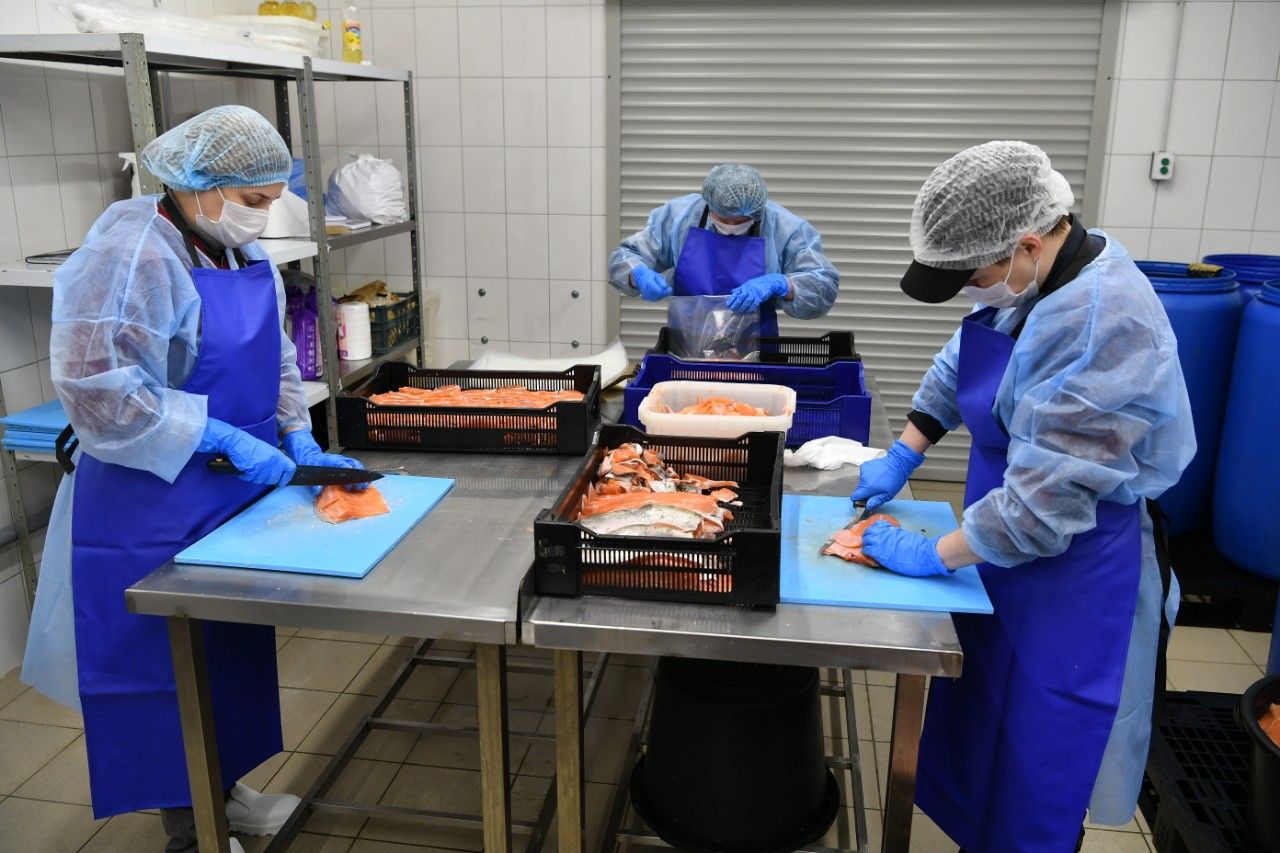 Pakattuja kalatuotteita toimitetaan Moskovaan, Pietariin, Petroskoihin ja myös Karjalan piireihin.  Kuva: Karjalan tasavallan lehdistöpalvelu