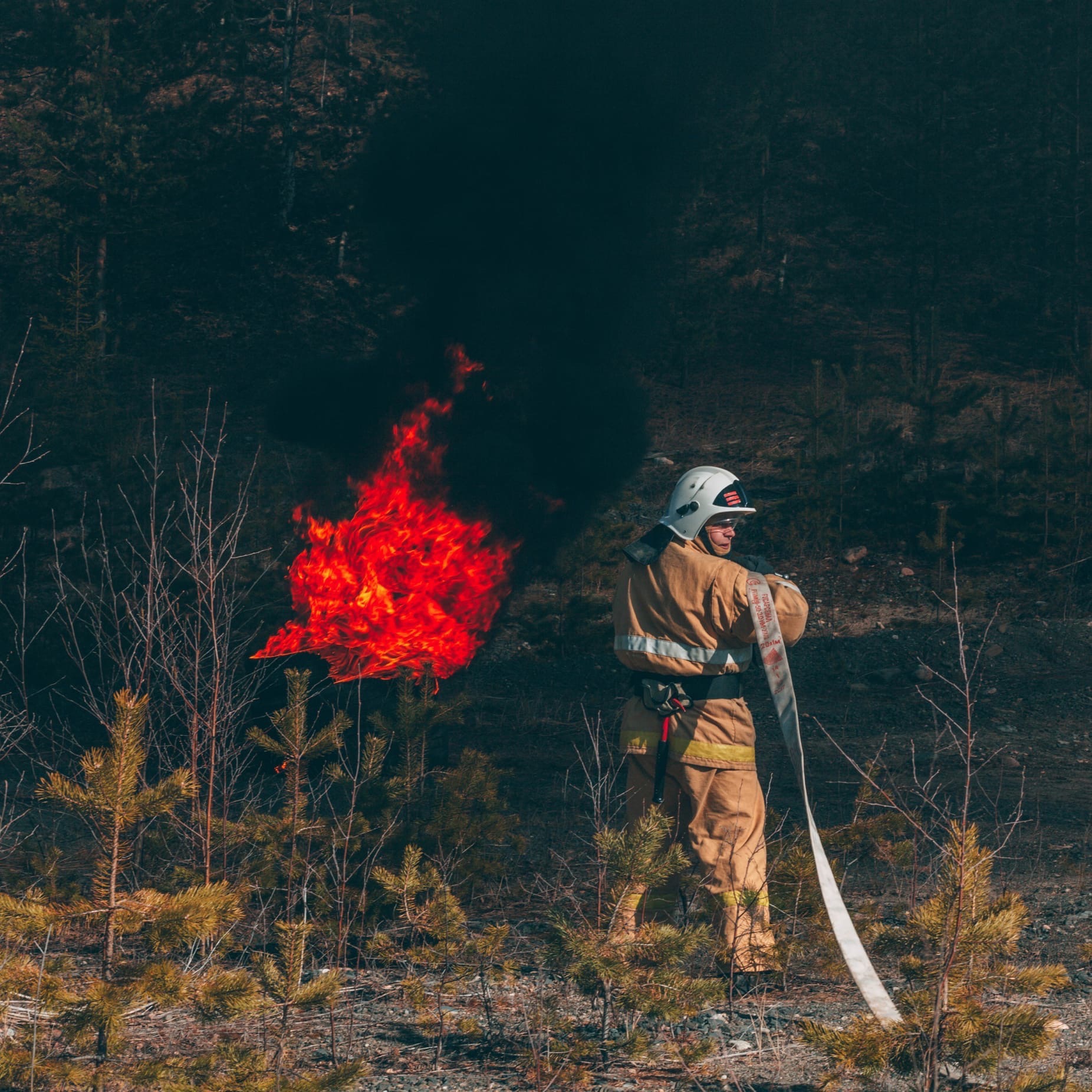 Asetuksen voimassaolon aikana on kielletty nuotioiden teko metsissä. Kuva: Karjalan luonnonvarain- ja ympäristöministeriön VKontakte-sivu