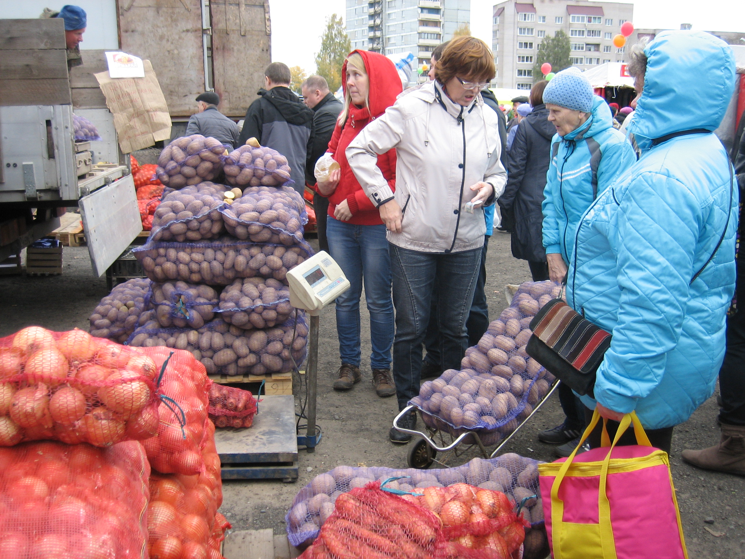Perjantaina 1. lokakuuta alkaneilla markkinoilla petroskoilaiset ostavat varastoon perunaa ja vihanneksia. Kuva: Marina Petrova / Karjalan Sanomat