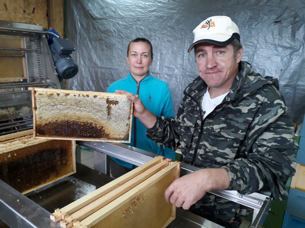 Inkerinsuomalaiset Jelena ja Eino Jauhonen ovat harjoittaneet mehiläistarhausta kuusi vuotta Äänisenrannan piirissä. Kuva: Marina Petrova