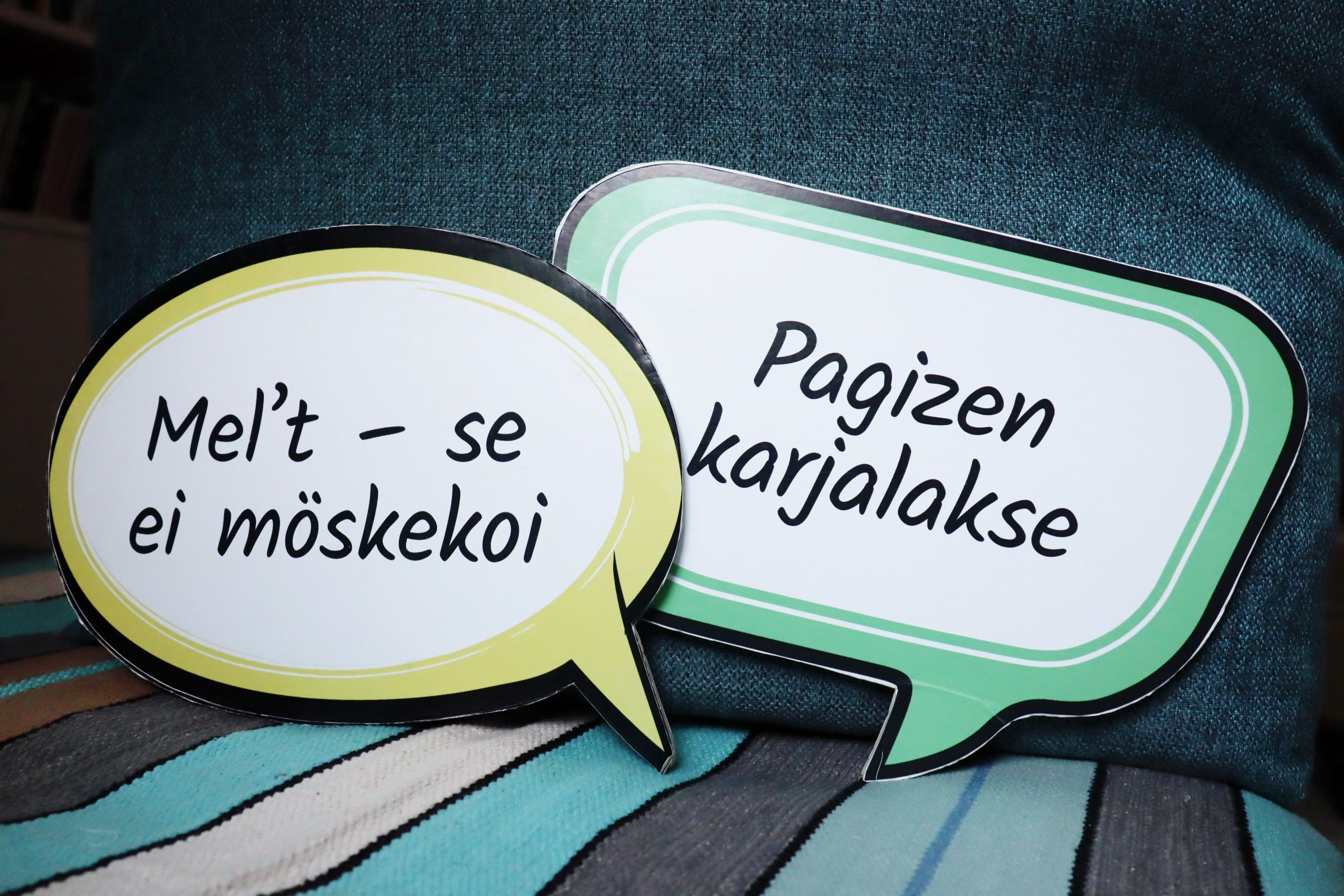 Один из вариантов участия в языковых неделях – сделать таблички с фразами на карельском и вепсском языке. Фото Алины Картынен.