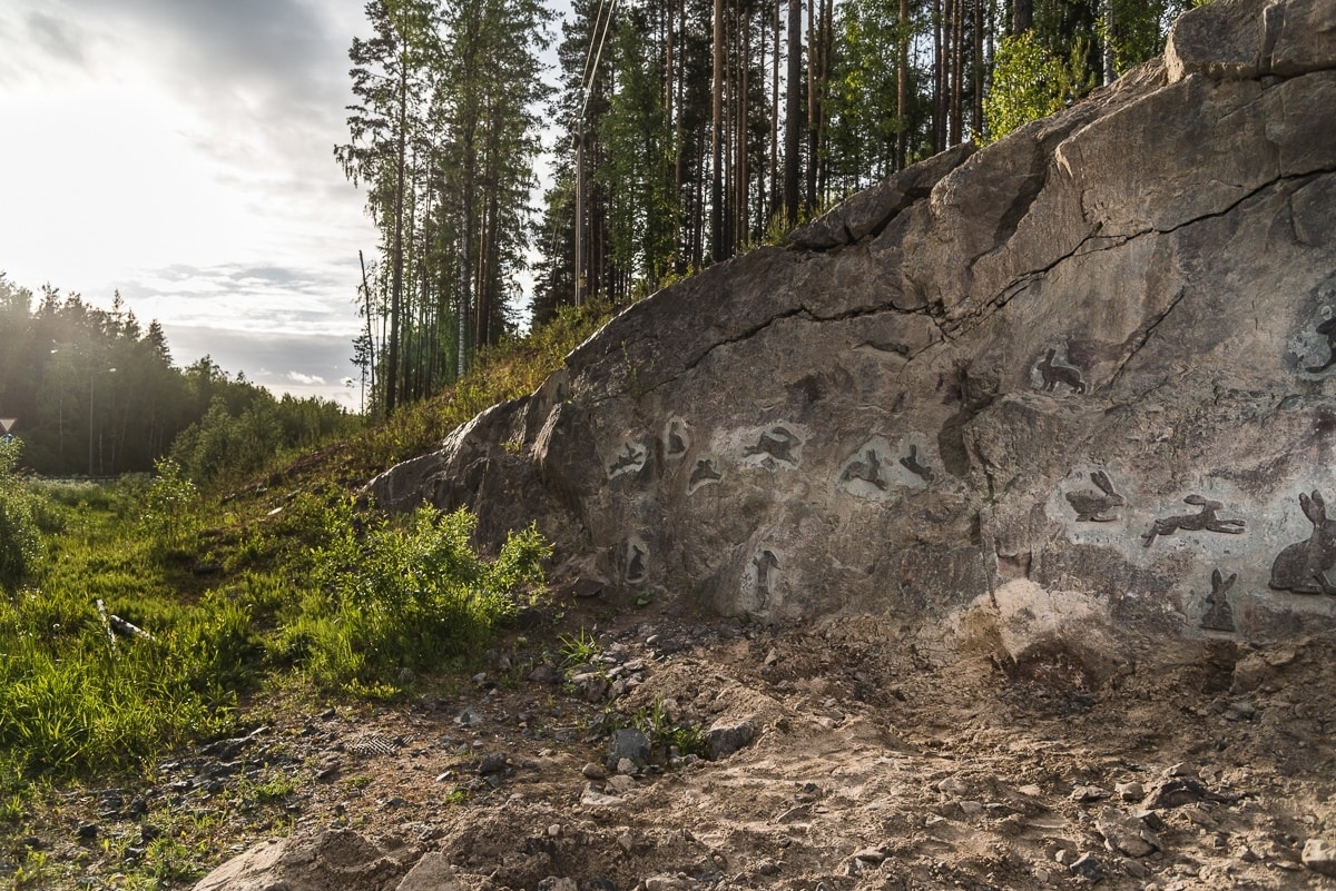 “Jänölöin alango” on 20 kilometrin piäs Petroskoispäi. Kallivos on läs 600 jänöidy. Pluanois on luadie 1 000 jänöidy. Kuva: iloverabbit.ru
