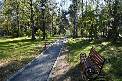 Pyhä koivikko -puistossa on tehty kävelytiet, asetettu valaistus ja penkit. Kuva: Karjalan hallituksen lehdistöpalvelu